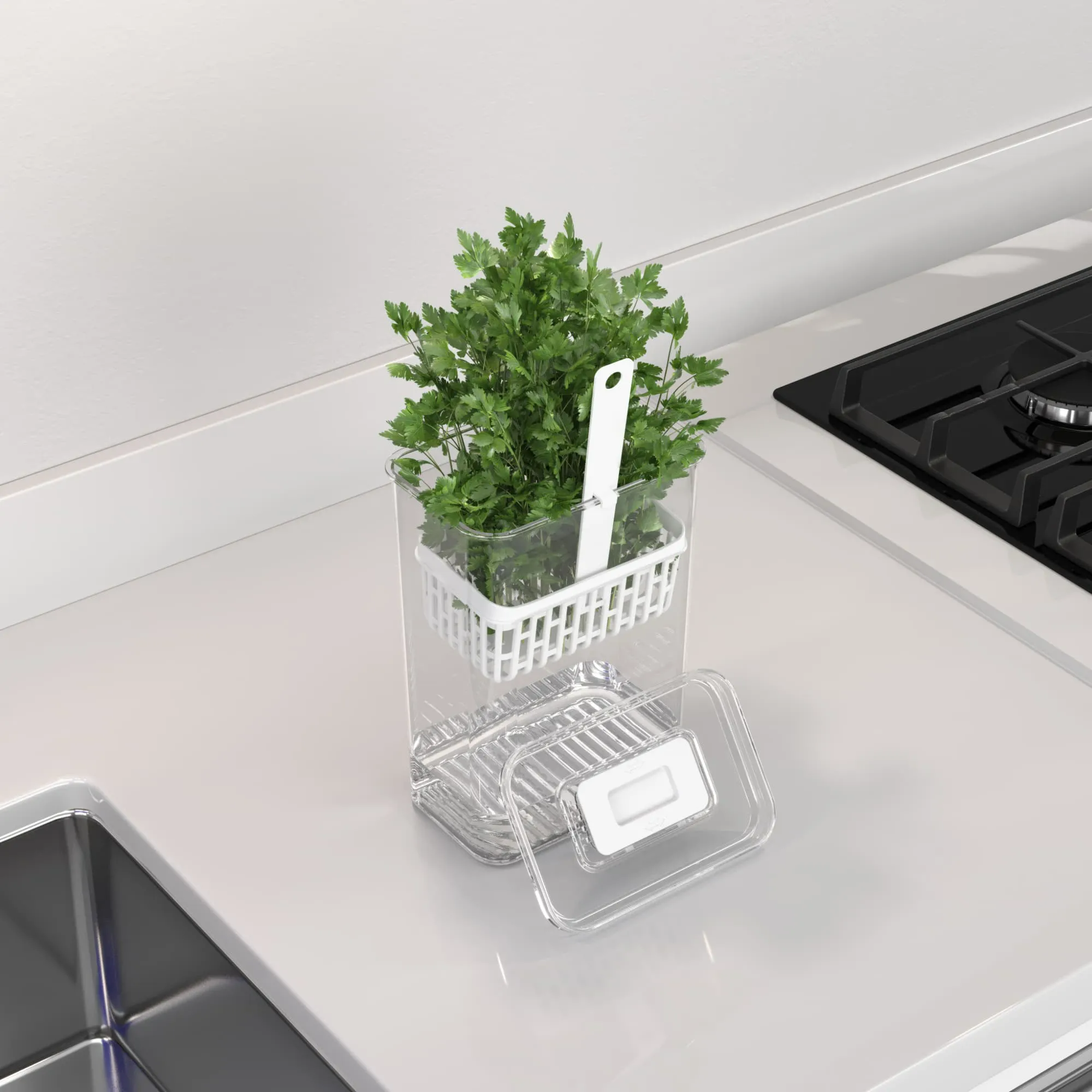 Organizador Para Temperos Frescos Dry